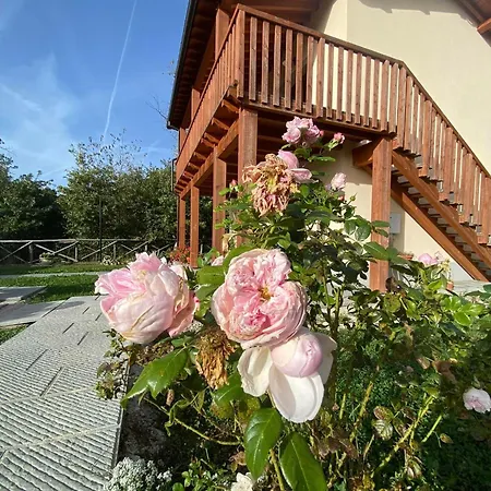 Diffuso Borgo Retrosi Di 3* Amatrice
